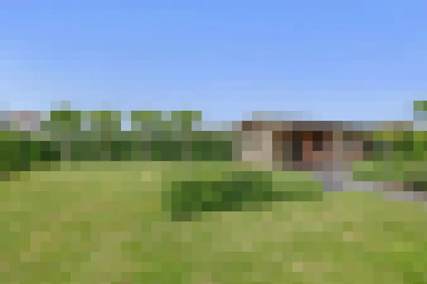 Kerneel 6 Nederweert thumbnail 74