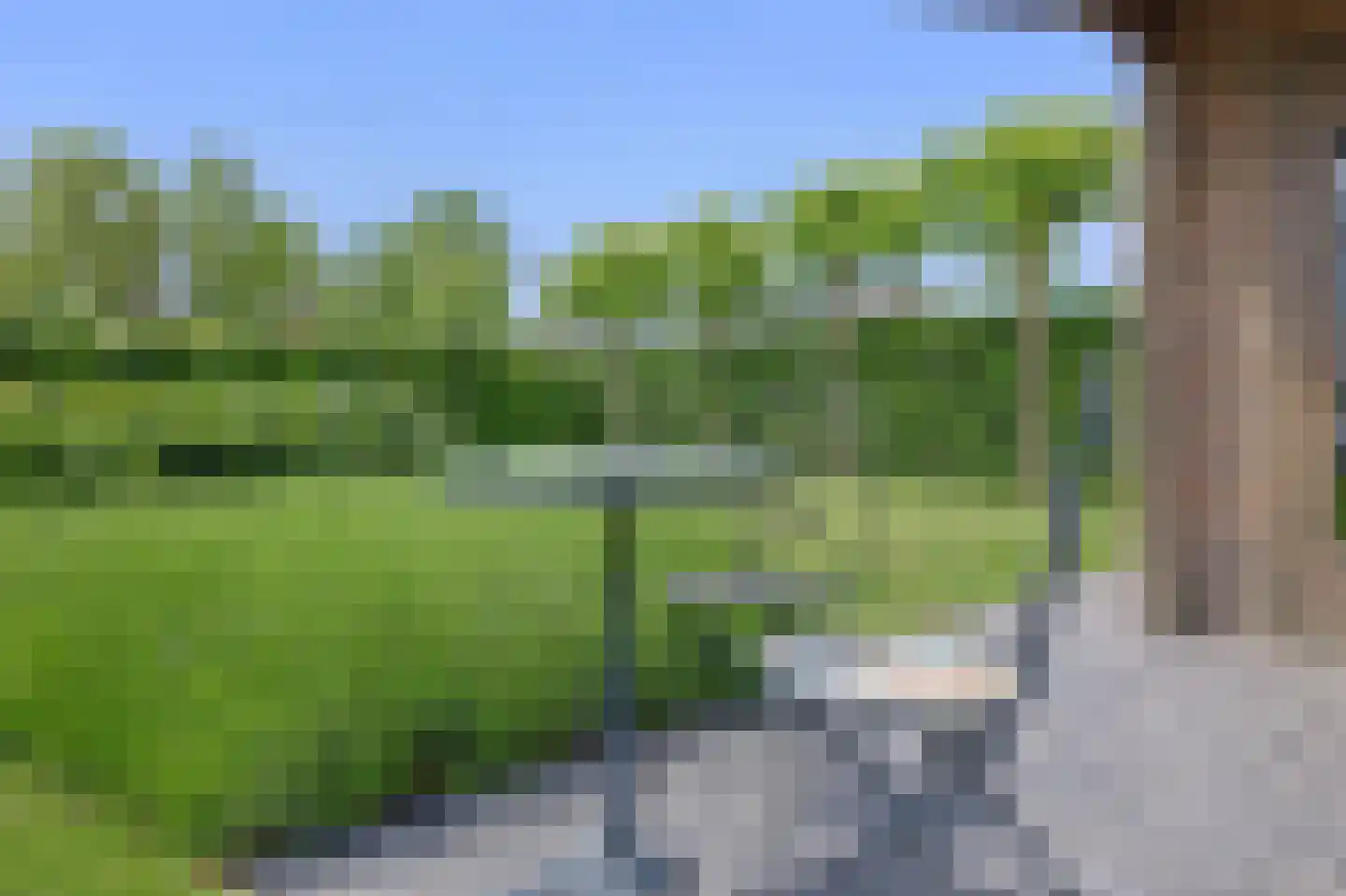 Kerneel 6 Nederweert thumbnail 76