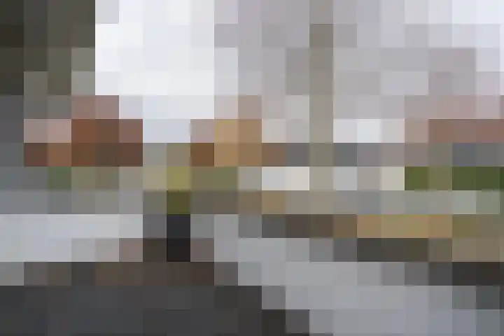 Kerneel 7 Nederweert thumbnail 28