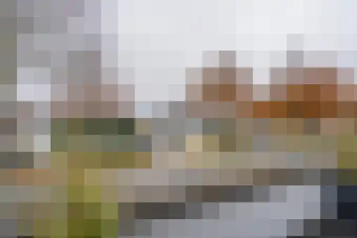 Kerneel 7 Nederweert thumbnail 29