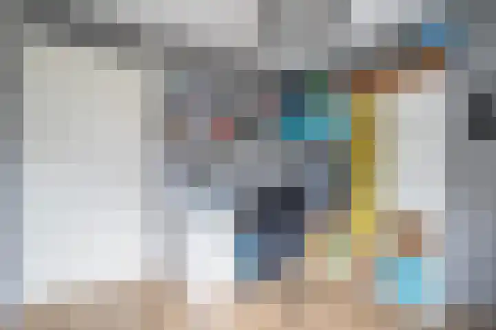 Kerneel 7 Nederweert thumbnail 35