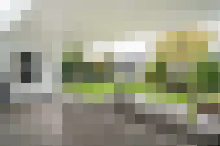 Kerneel 7 Nederweert thumbnail 4