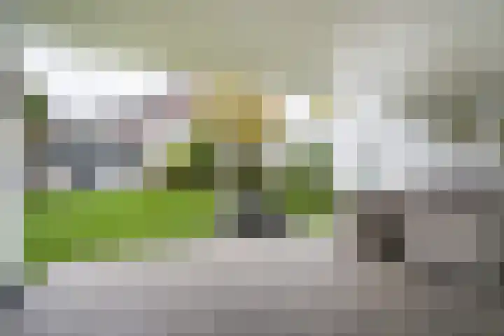 Kerneel 7 Nederweert thumbnail 47