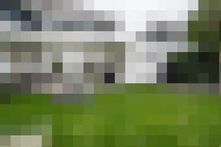 Kerneel 7 Nederweert thumbnail 49