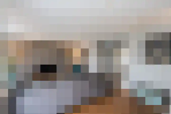 Kerneel 7 Nederweert thumbnail 5