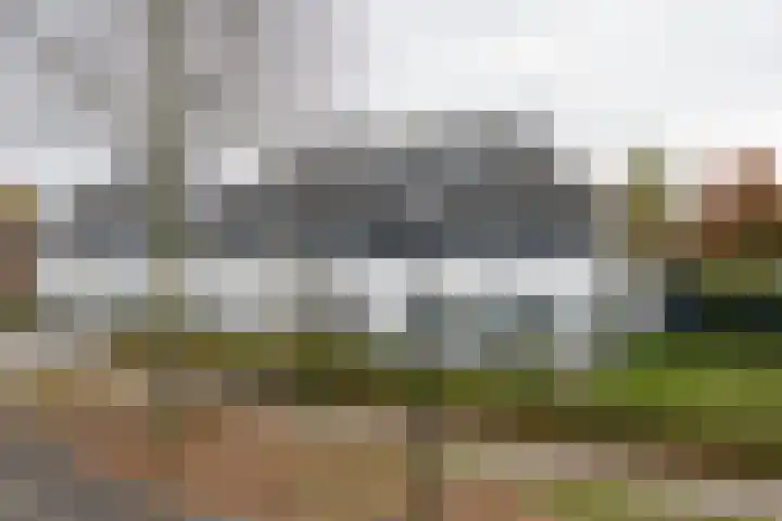 Kerneel 7 Nederweert thumbnail 52
