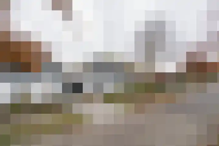 Kerneel 7 Nederweert thumbnail 53
