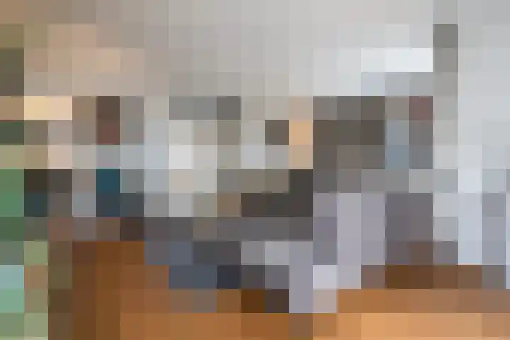 Kerneel 7 Nederweert thumbnail 8