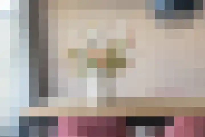 Kernhoopweg 40 't Harde thumbnail 20