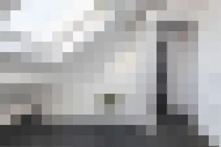 Kernhoopweg 40 't Harde thumbnail 36