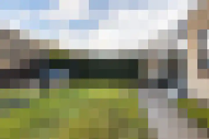 Kernhoopweg 40 't Harde thumbnail 38