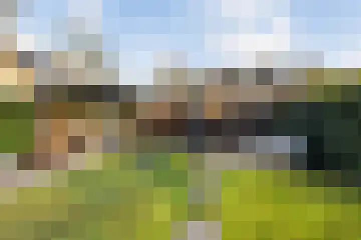 Kernhoopweg 40 't Harde thumbnail 39