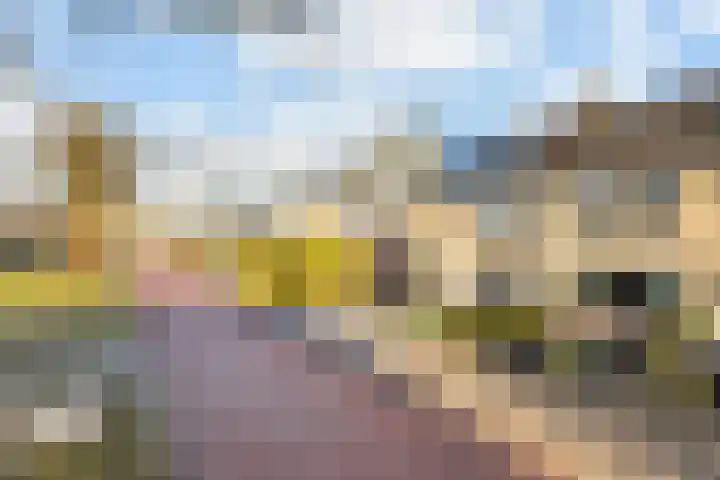 Kernhoopweg 40 't Harde thumbnail 4