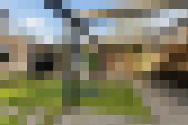 Kernhoopweg 40 't Harde thumbnail 42