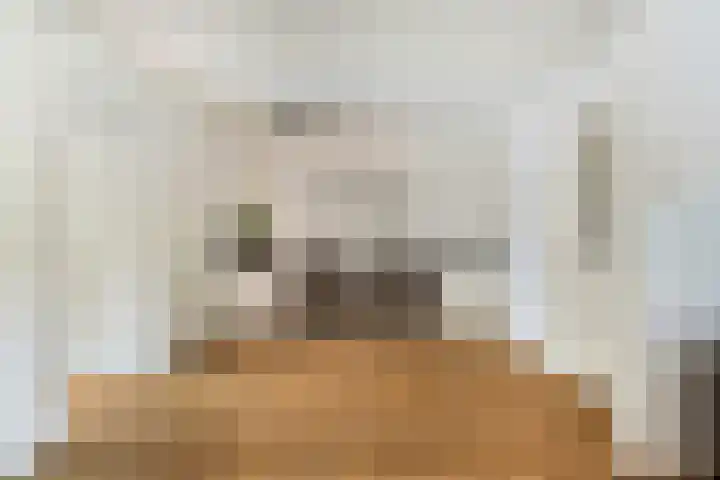 Kernhoopweg 64 't Harde thumbnail 10