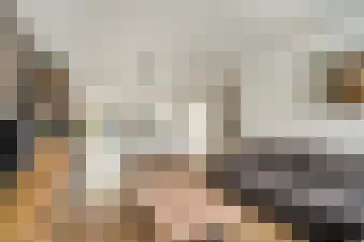 Kernhoopweg 64 't Harde thumbnail 14