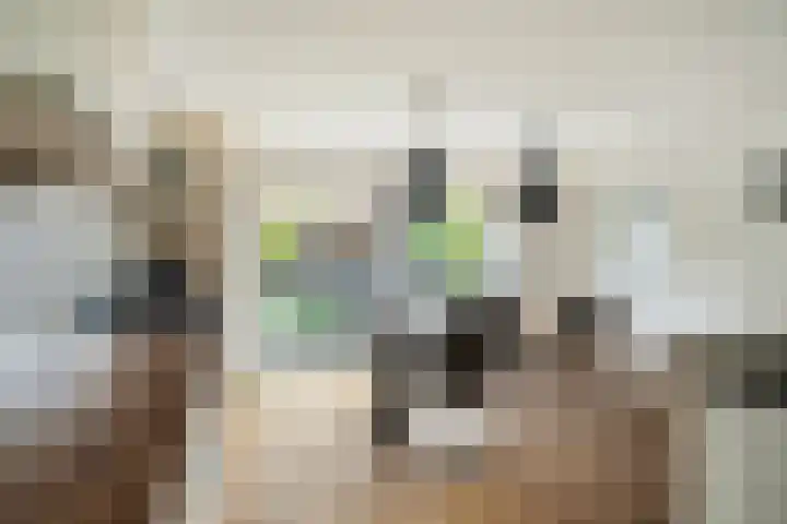 Kernhoopweg 64 't Harde thumbnail 16