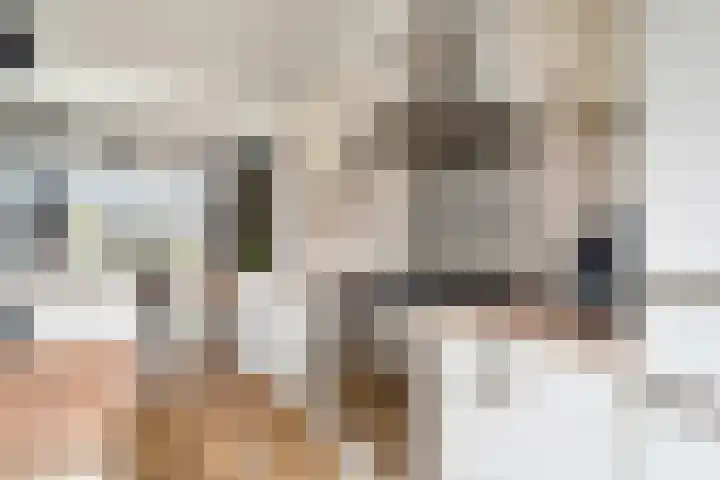 Kernhoopweg 64 't Harde thumbnail 17