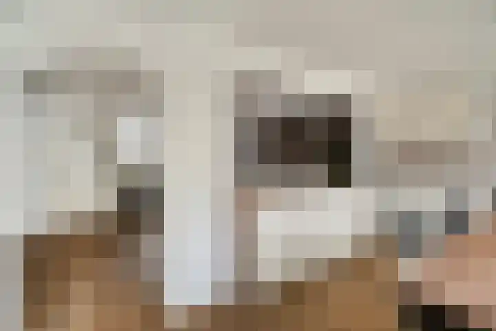 Kernhoopweg 64 't Harde thumbnail 19
