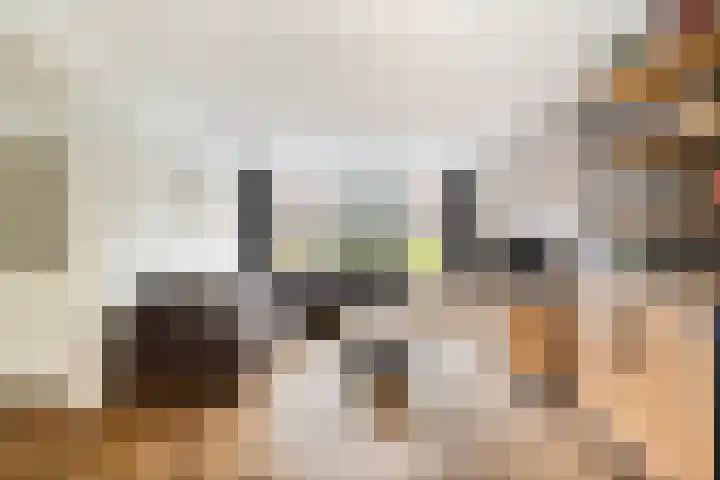 Kernhoopweg 64 't Harde foto 2