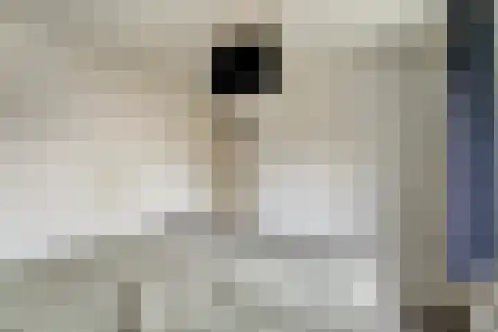 Kernhoopweg 64 't Harde thumbnail 25