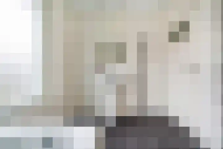 Kernhoopweg 64 't Harde thumbnail 27