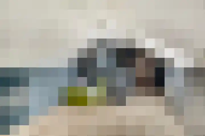 Kernhoopweg 64 't Harde thumbnail 33