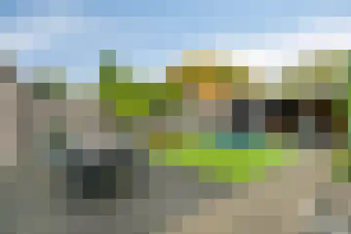 Kernhoopweg 64 't Harde thumbnail 38