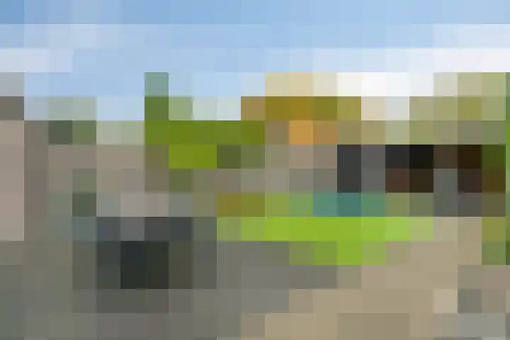 Kernhoopweg 64 't Harde thumbnail 4