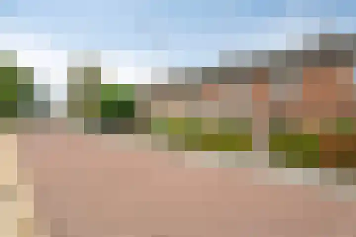 Kernhoopweg 64 't Harde thumbnail 45