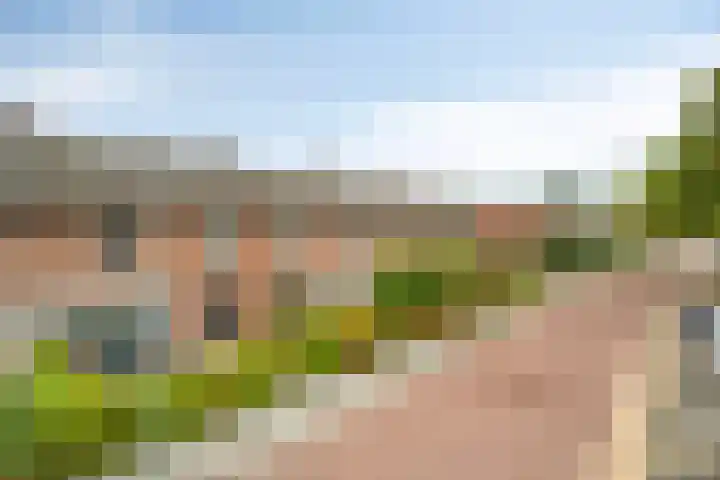 Kernhoopweg 64 't Harde thumbnail 46