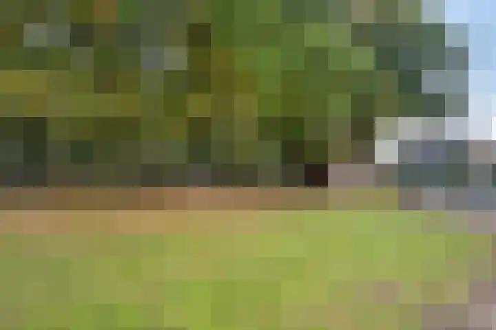 Kernhoopweg 64 't Harde thumbnail 47