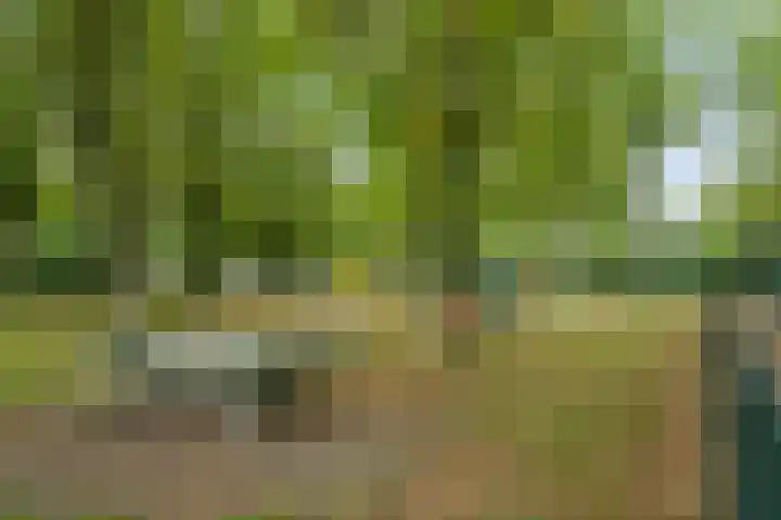 Kernhoopweg 64 't Harde thumbnail 48