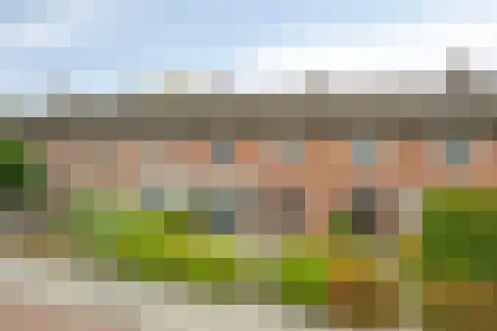 Kernhoopweg 64 't Harde thumbnail 5