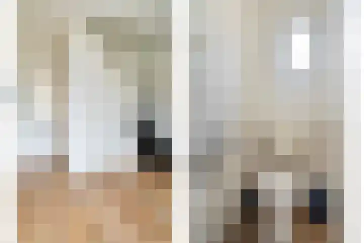 Kernhoopweg 64 't Harde thumbnail 7