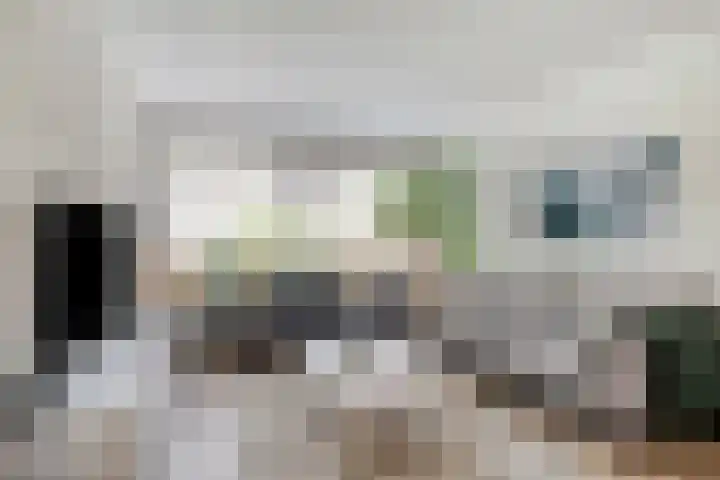 Kernhoopweg 87 't Harde foto 2