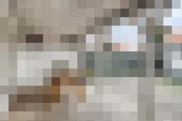 Kernhoopweg 87 't Harde thumbnail 23