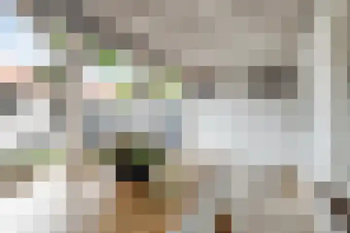 Kernhoopweg 87 't Harde thumbnail 24