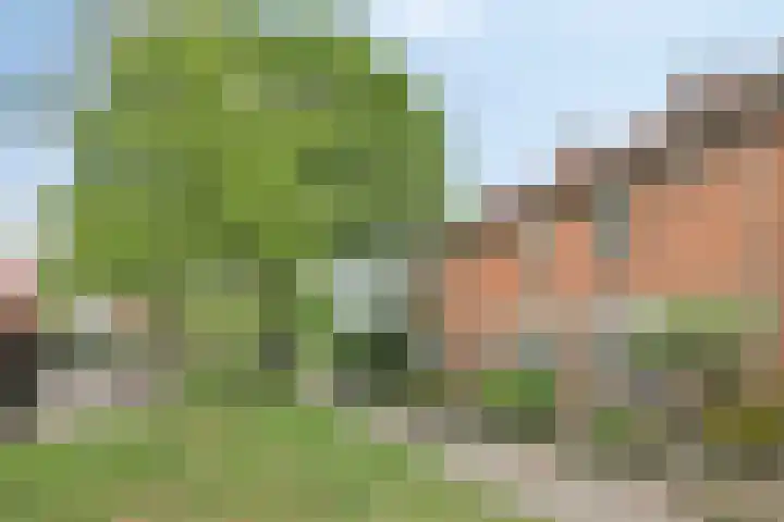 Kernhoopweg 87 't Harde thumbnail 26