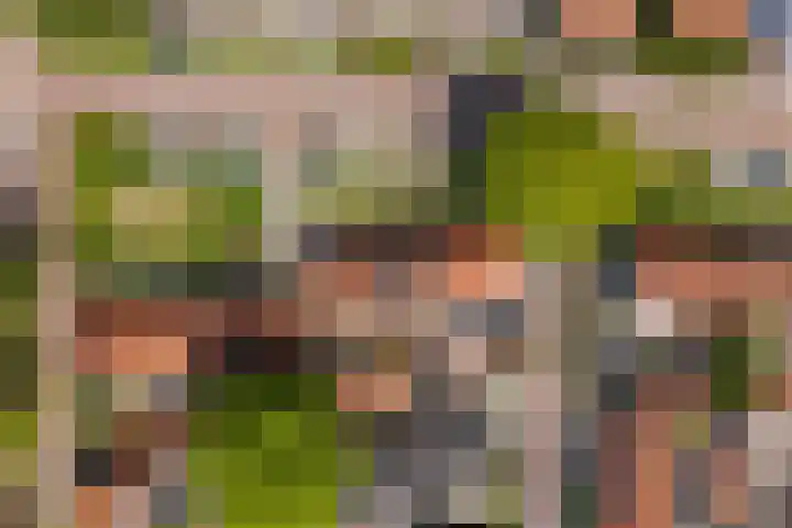 Kernhoopweg 87 't Harde thumbnail 27