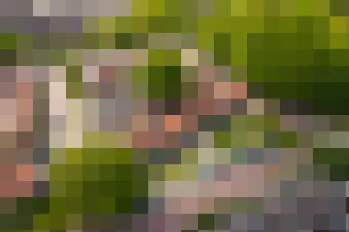 Kernhoopweg 87 't Harde thumbnail 28
