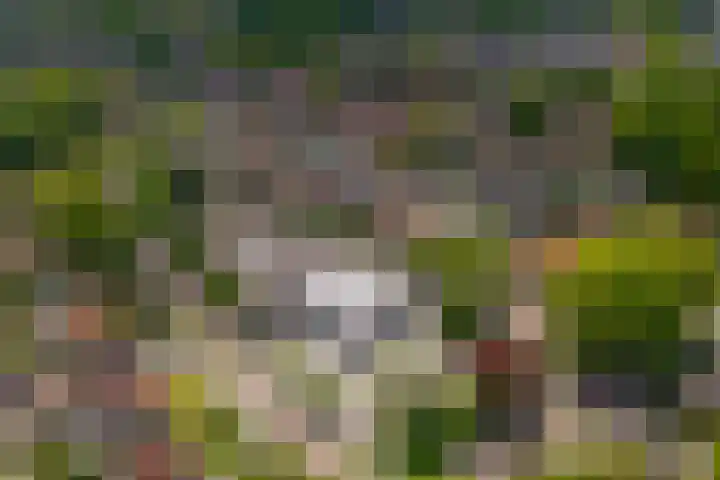 Kernhoopweg 87 't Harde thumbnail 29