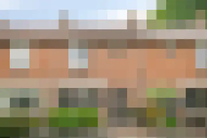 Kernhoopweg 87 't Harde thumbnail 4