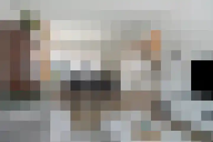 Kernhoopweg 87 't Harde thumbnail 5