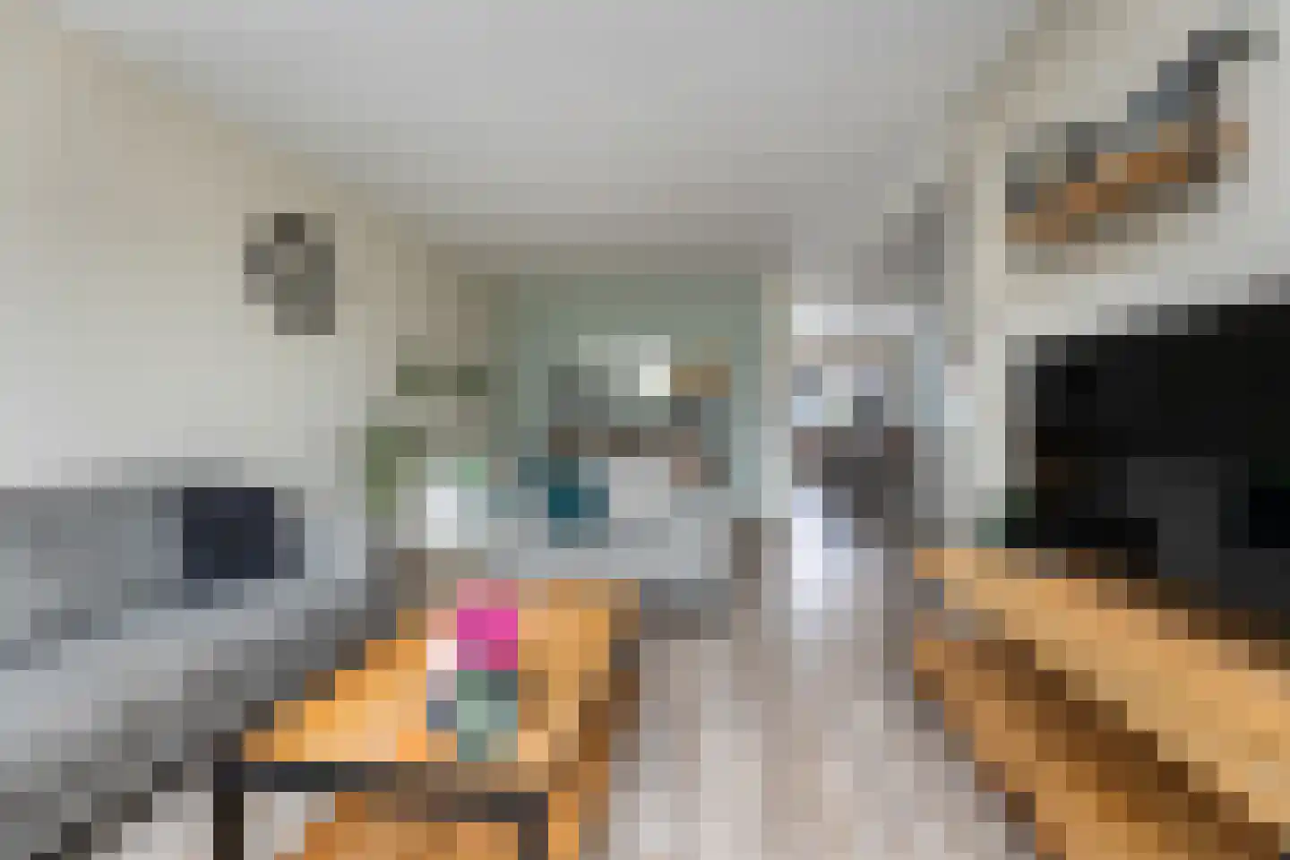 Kernhoopweg 95 't Harde thumbnail 14