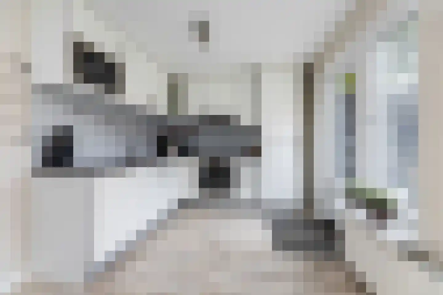 Kernhoopweg 95 't Harde thumbnail 20