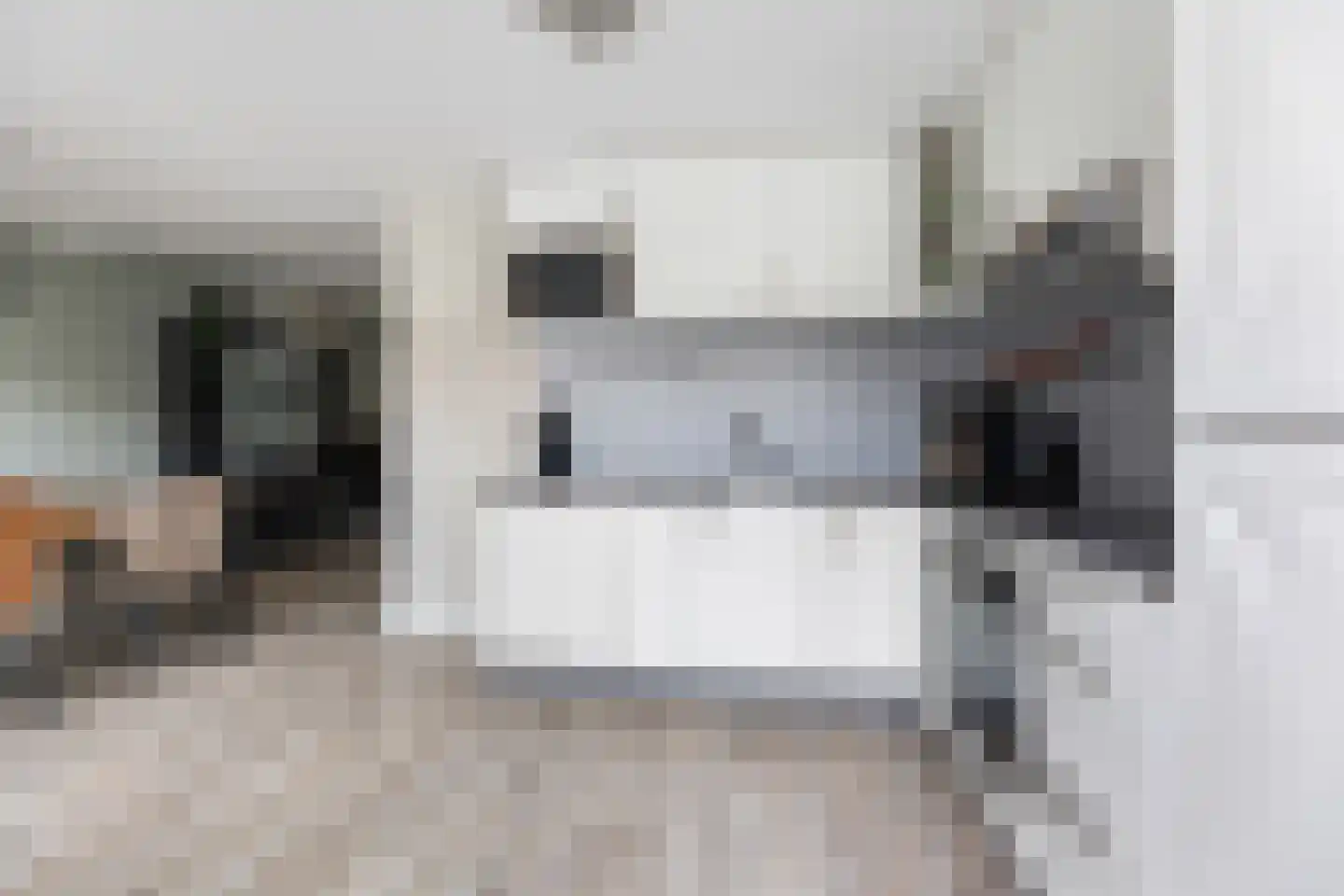 Kernhoopweg 95 't Harde thumbnail 21