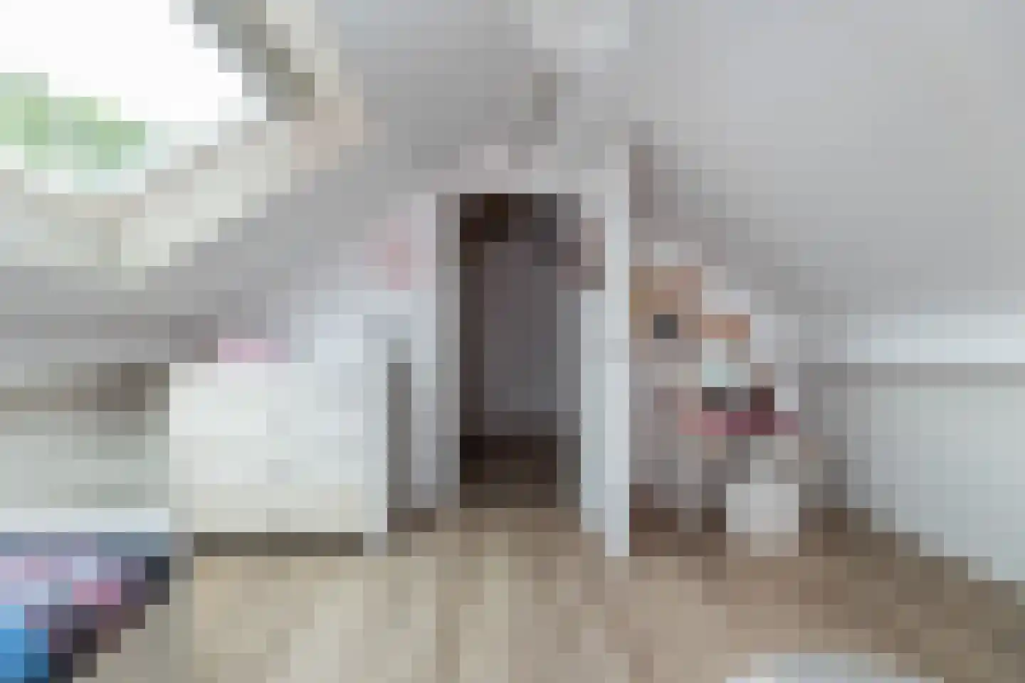 Kernhoopweg 95 't Harde thumbnail 30