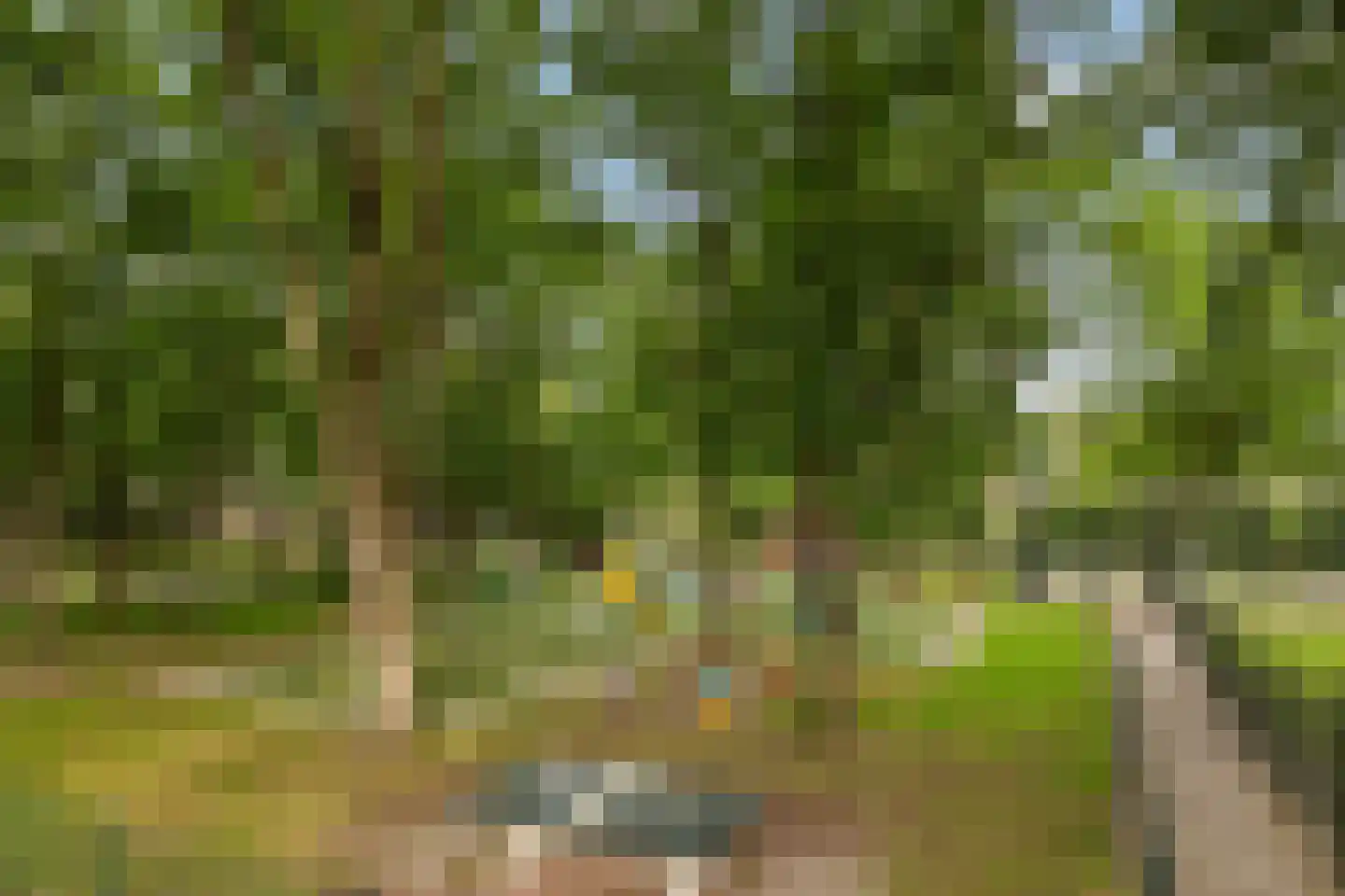 Kernhoopweg 95 't Harde thumbnail 36