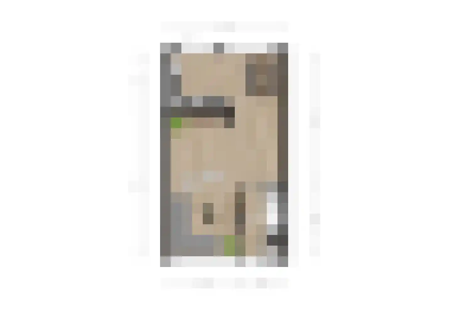 Kernhoopweg 95 't Harde thumbnail 37